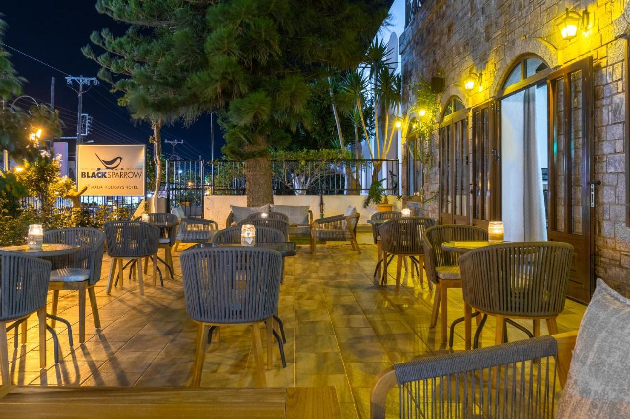 Hotel Malia Holidays المظهر الخارجي الصورة